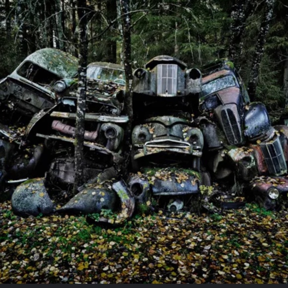 Meet your Posher, Max - Picture 1 of 1